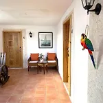 Noe Hotel Punta Cana