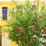 Apartamento Grunwald 3