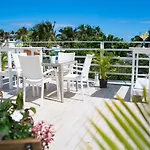 Art Villa Dominicana
