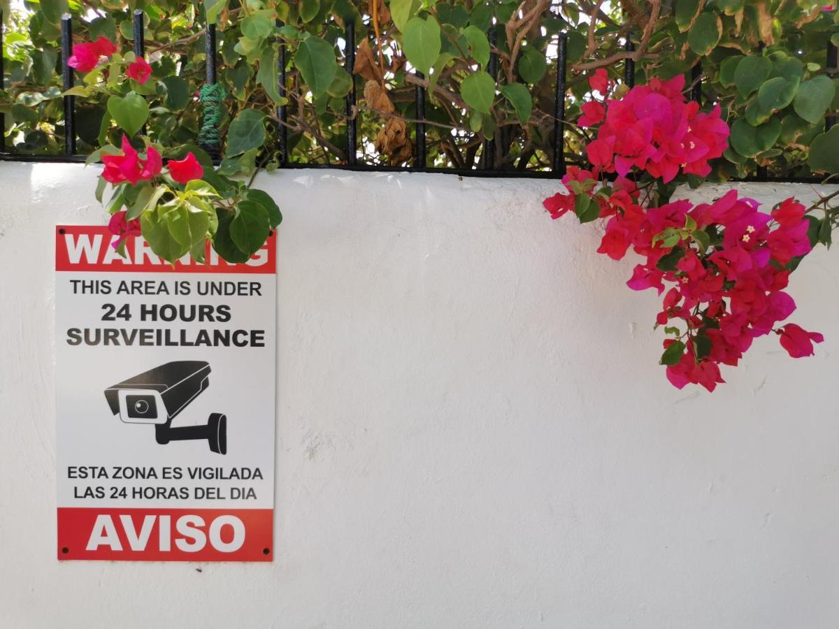 Beach Studio 4 People - Bbq, Wifi, Beach Amenities, Pickup From Airport, Kitchenette - Playa Los Corales Apartamento