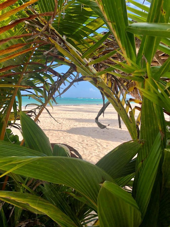 Apartamento Beach Studio 4 People - Bbq, Wifi, Beach Amenities, Pickup From Airport, Kitchenette - Playa Los Corales