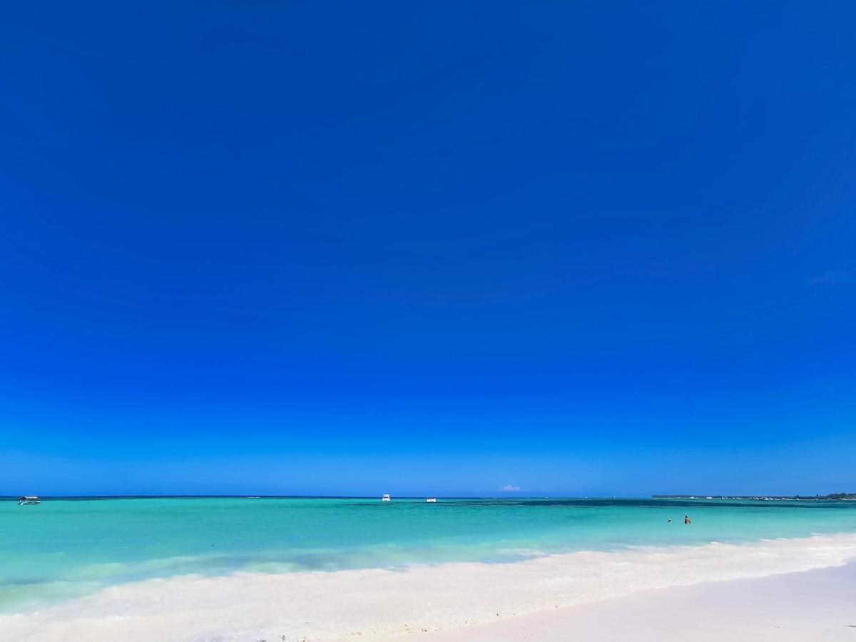 Apartamento Beach Studio 4 People - Bbq, Wifi, Beach Amenities, Pickup From Airport, Kitchenette - Playa Los Corales *