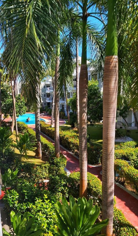 Apartamento Blue Estudio
