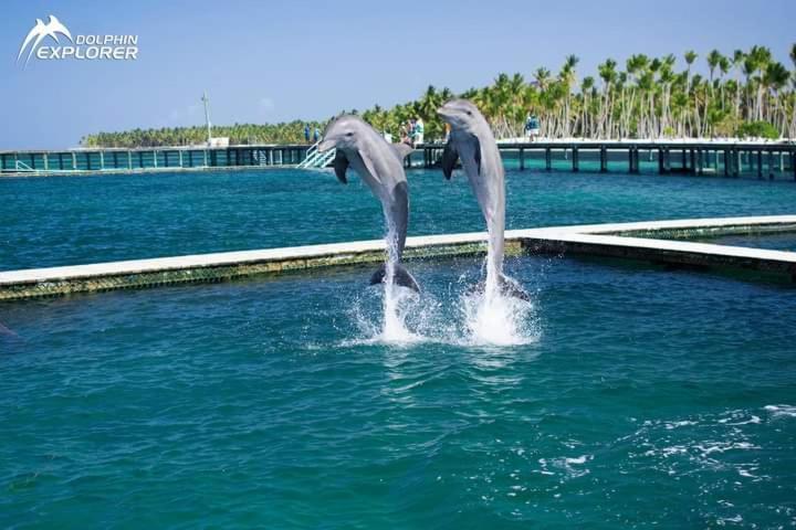 Caribbean And Sun Apartamento Punta Cana