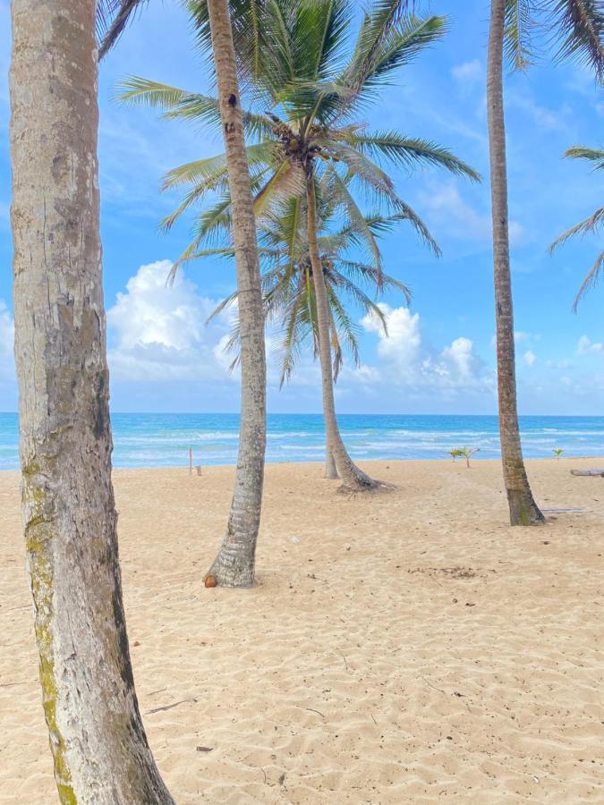 Apartamento Uvero Tropical #1 *
