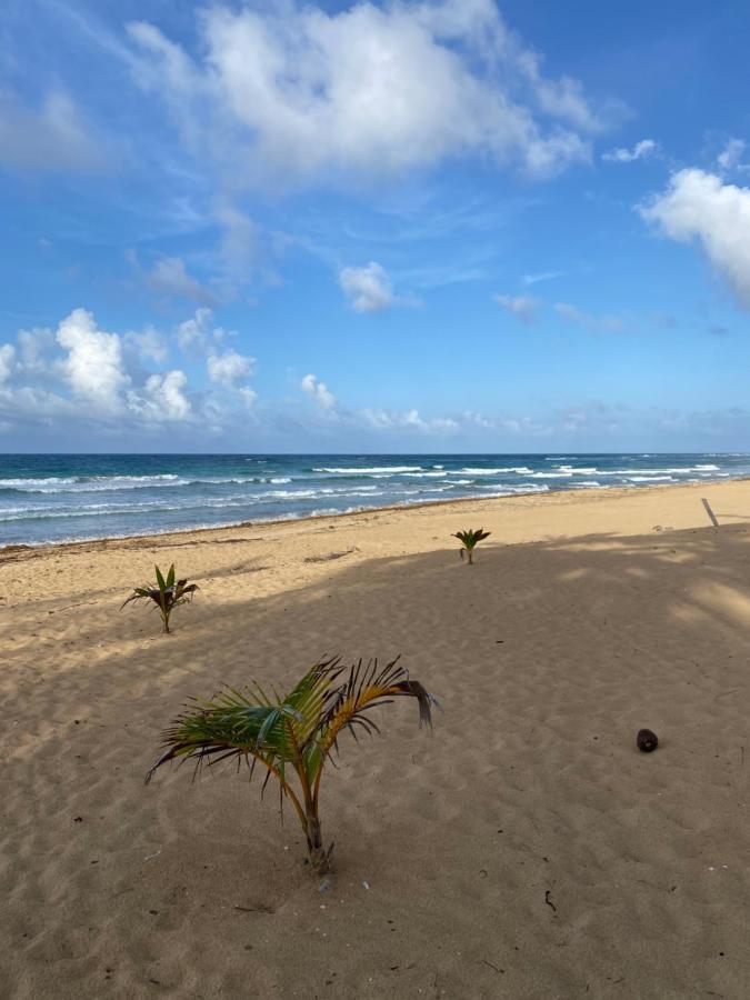 Uvero Tropical #1 Apartamento Punta Cana