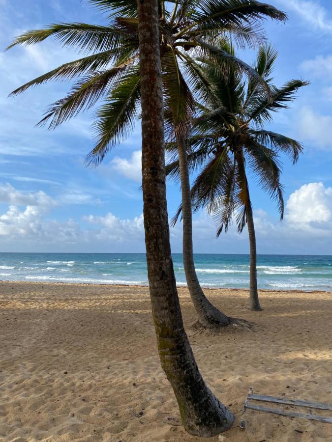 Uvero Tropical #1 Apartamento Punta Cana