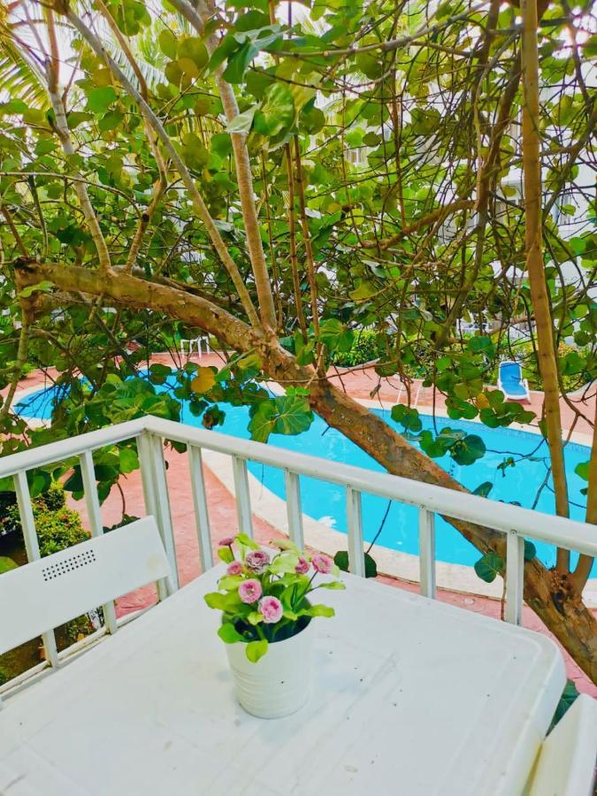 Sol Caribe Suites Deluxe Los Corales Beach&pool Hotel