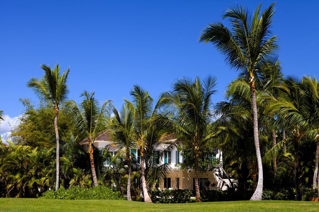 Tatagua * Punta Cana