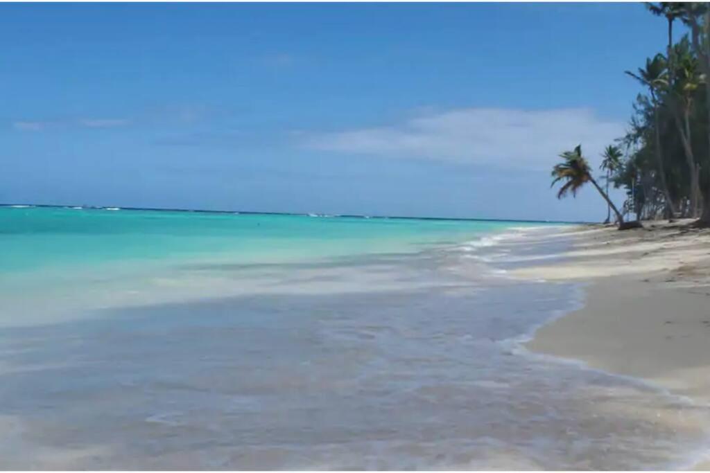 Apartamento Dominican Art 2 Bedroom El Cortecito *