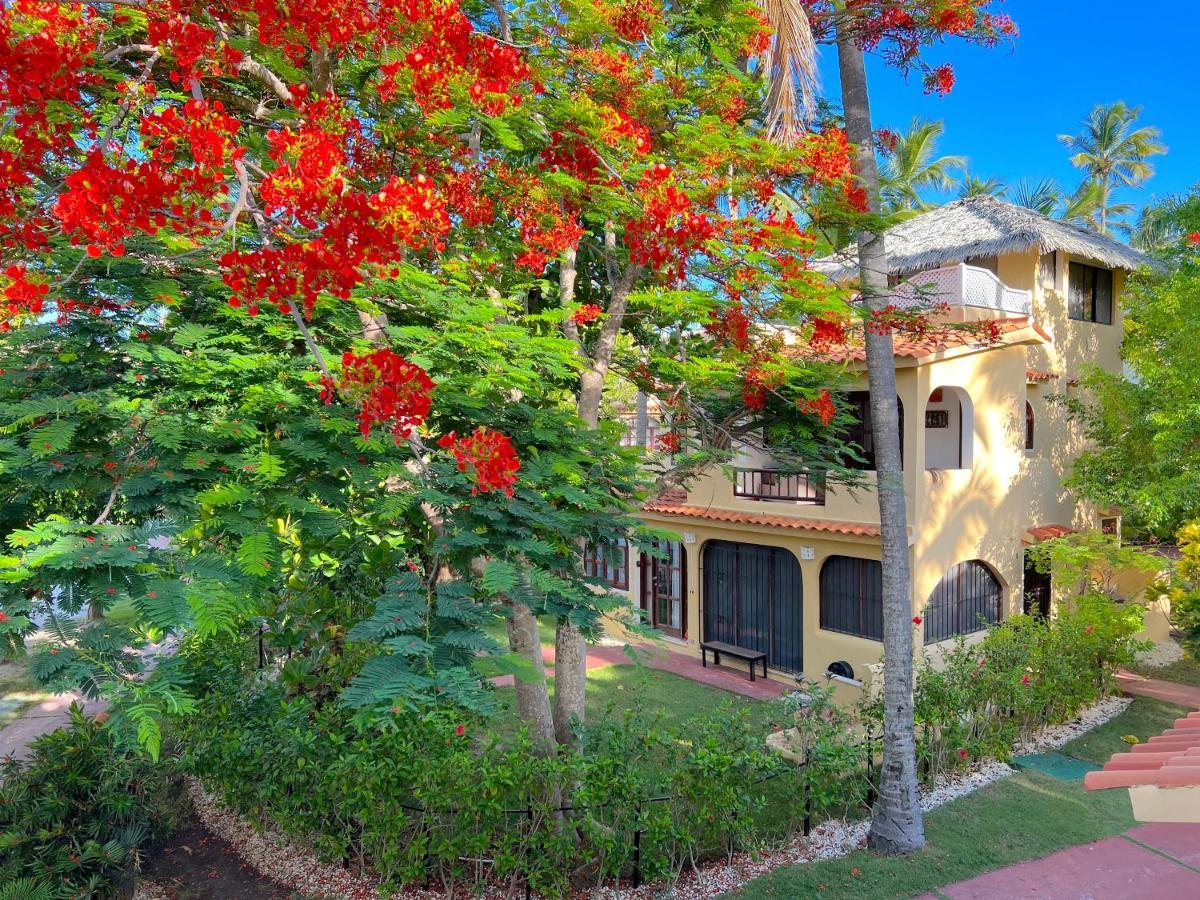 Corales Villas And Suites - Club, Spa, Restaurants Hotel