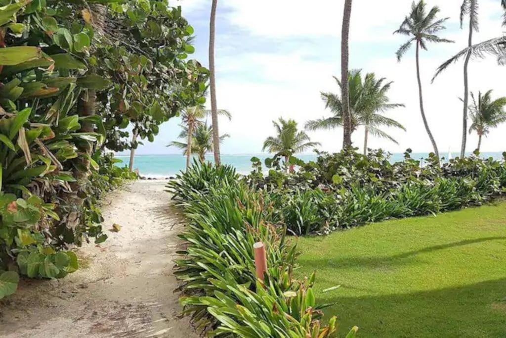 Magiccana Arena Blanca Beach Apartamento Punta Cana