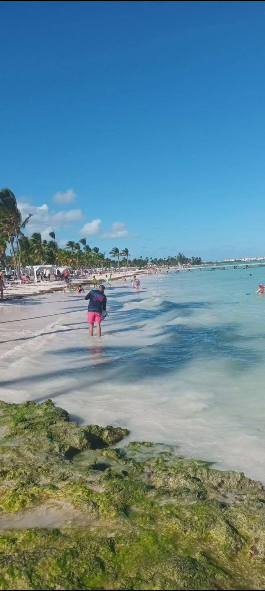 Apartamento Apto Estudio En Punta Cana, Vista A La Pisicina Punta Cana
