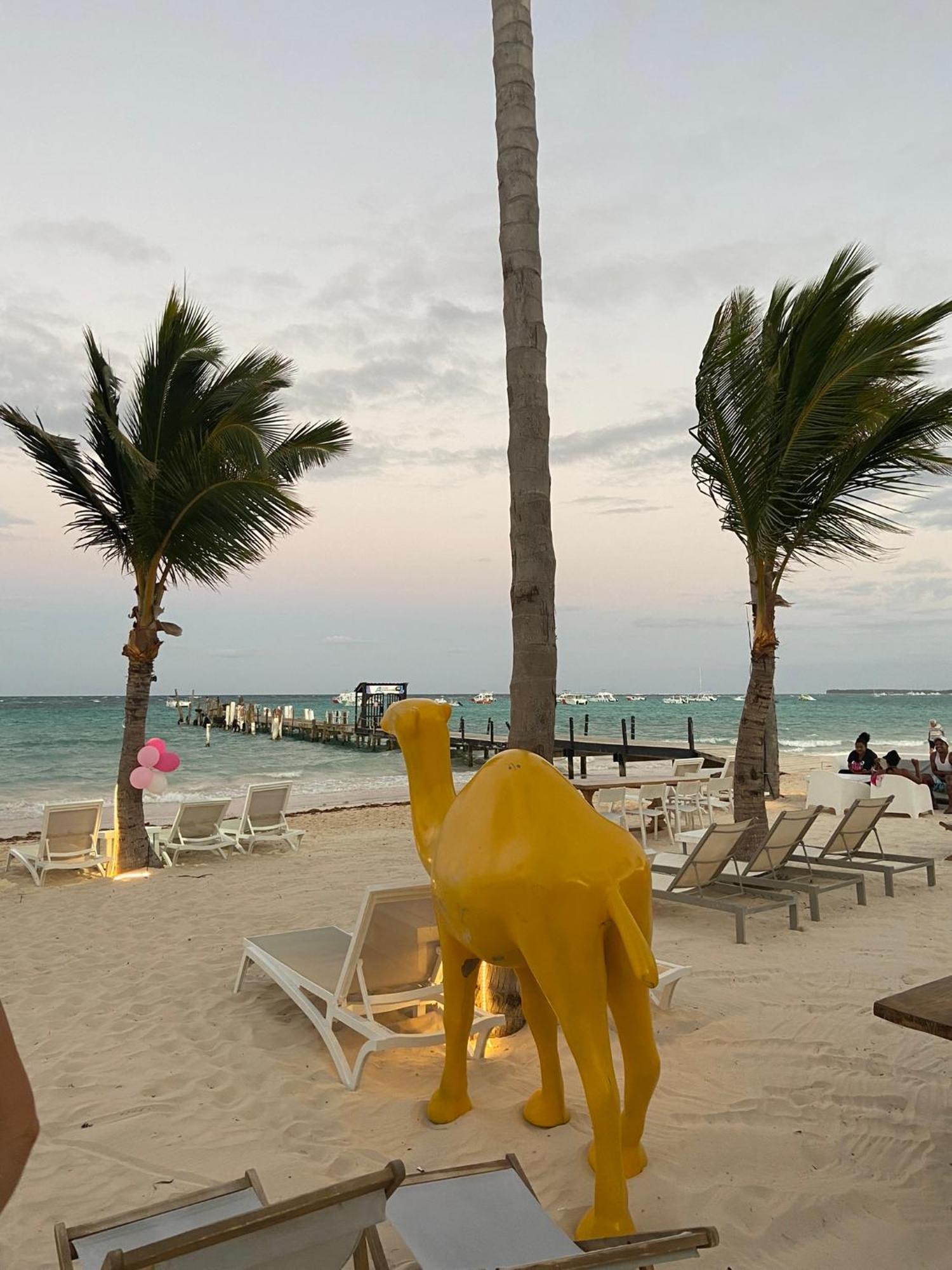 Apartamento Sol Caribe Suites Club And Pool Punta Cana