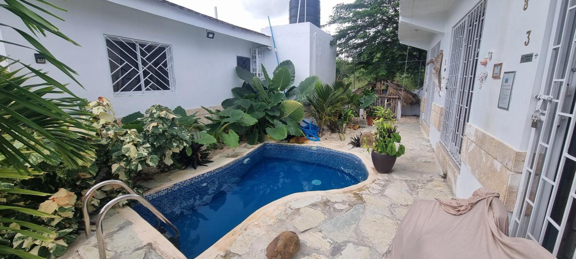 Pensión Luxury House Bungalow&apartments La Botánica Tropical