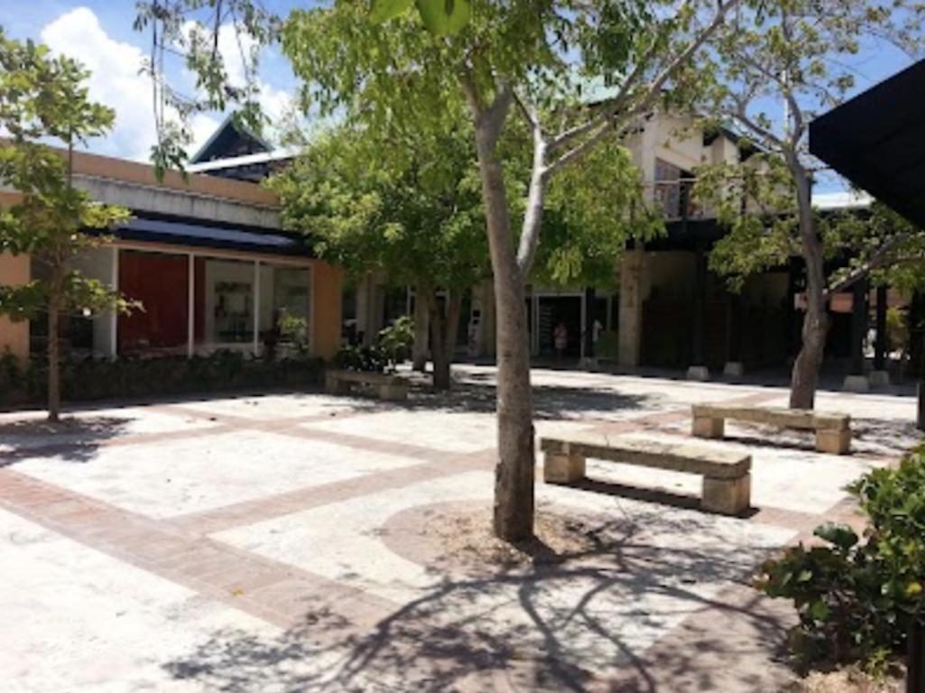 New Marvelous Cap Cana With Outdoor Terrace And Private Pool Apartamento Punta Cana
