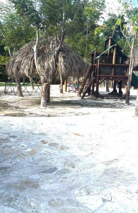 Papaya Bavaro Just Steps From The Beach. Apartamento