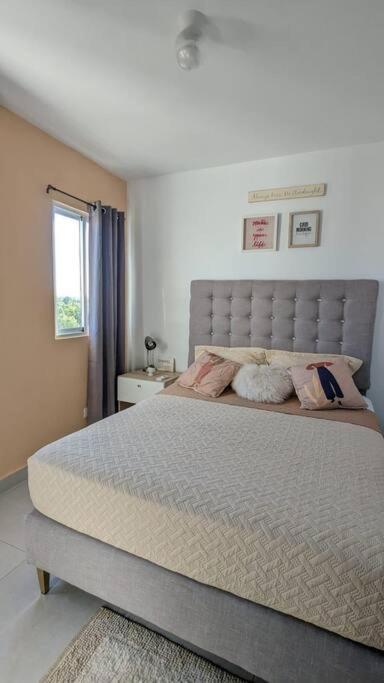 In The Earthy Paradise Of Apartamento *