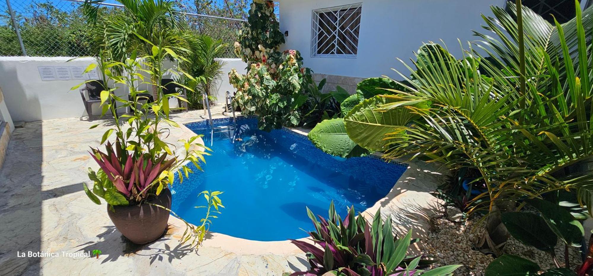 Pensión Luxury House Bungalow&apartments La Botánica Tropical