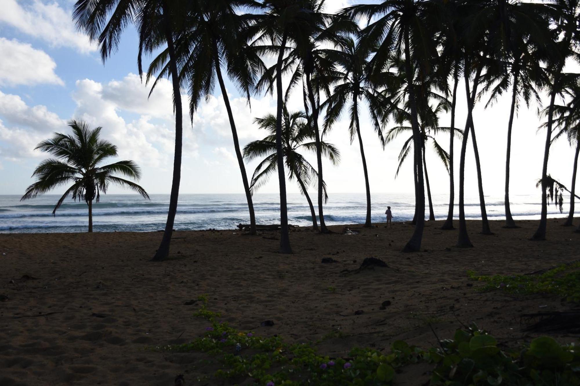 Relax @ Beach, Bibijagua