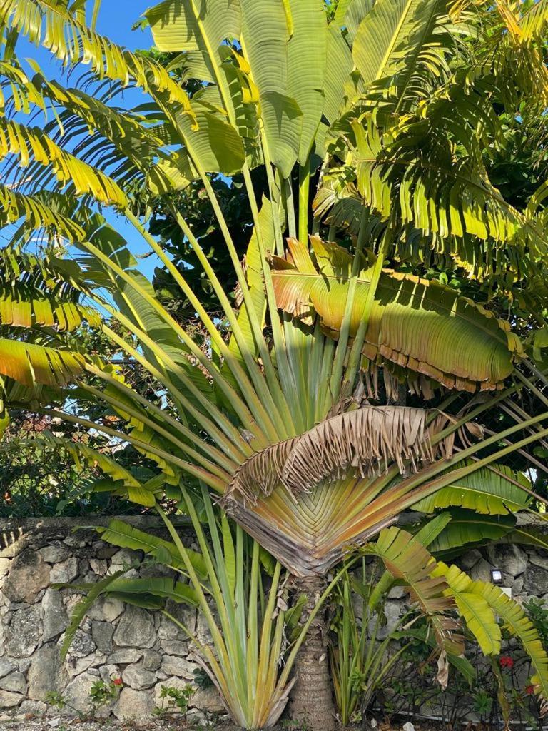 Apartamento Bavaro Escape *