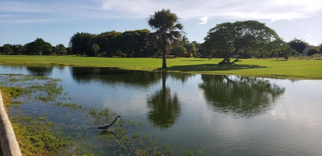 Apartamento View Cocotal Golf & Club Punta Cana