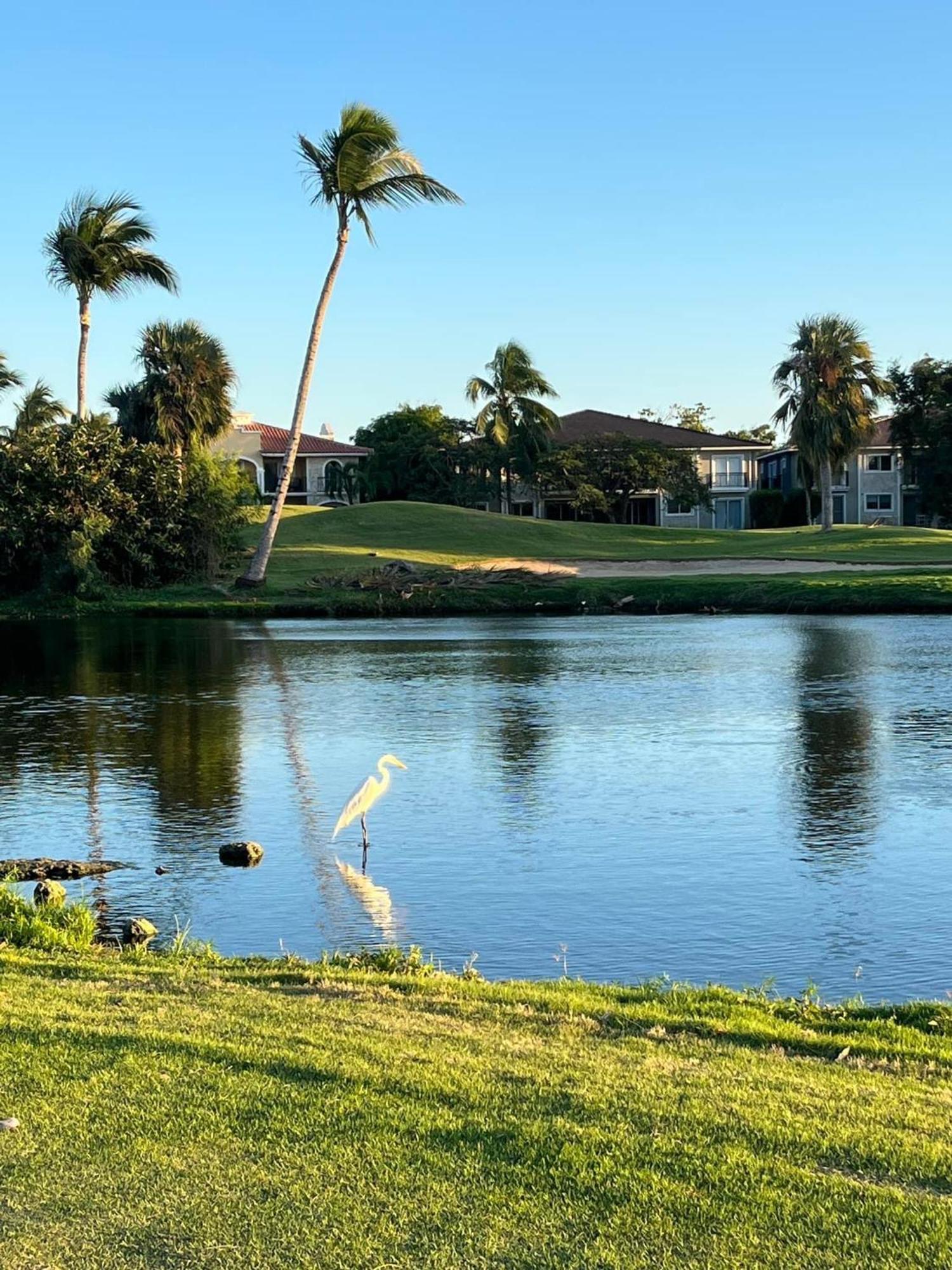 Apartamento View Cocotal Golf & Club *