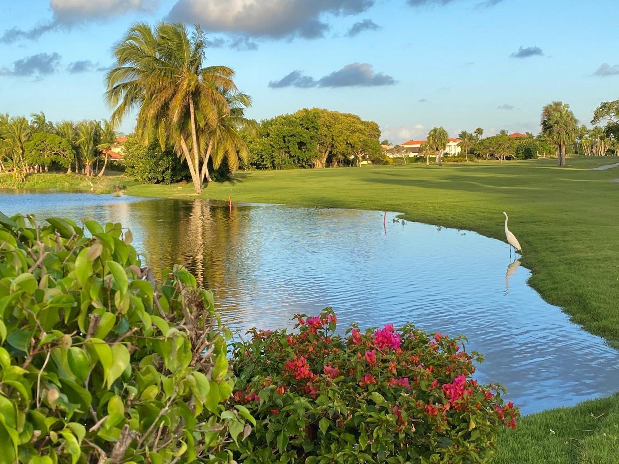View Cocotal Golf & Club Punta Cana