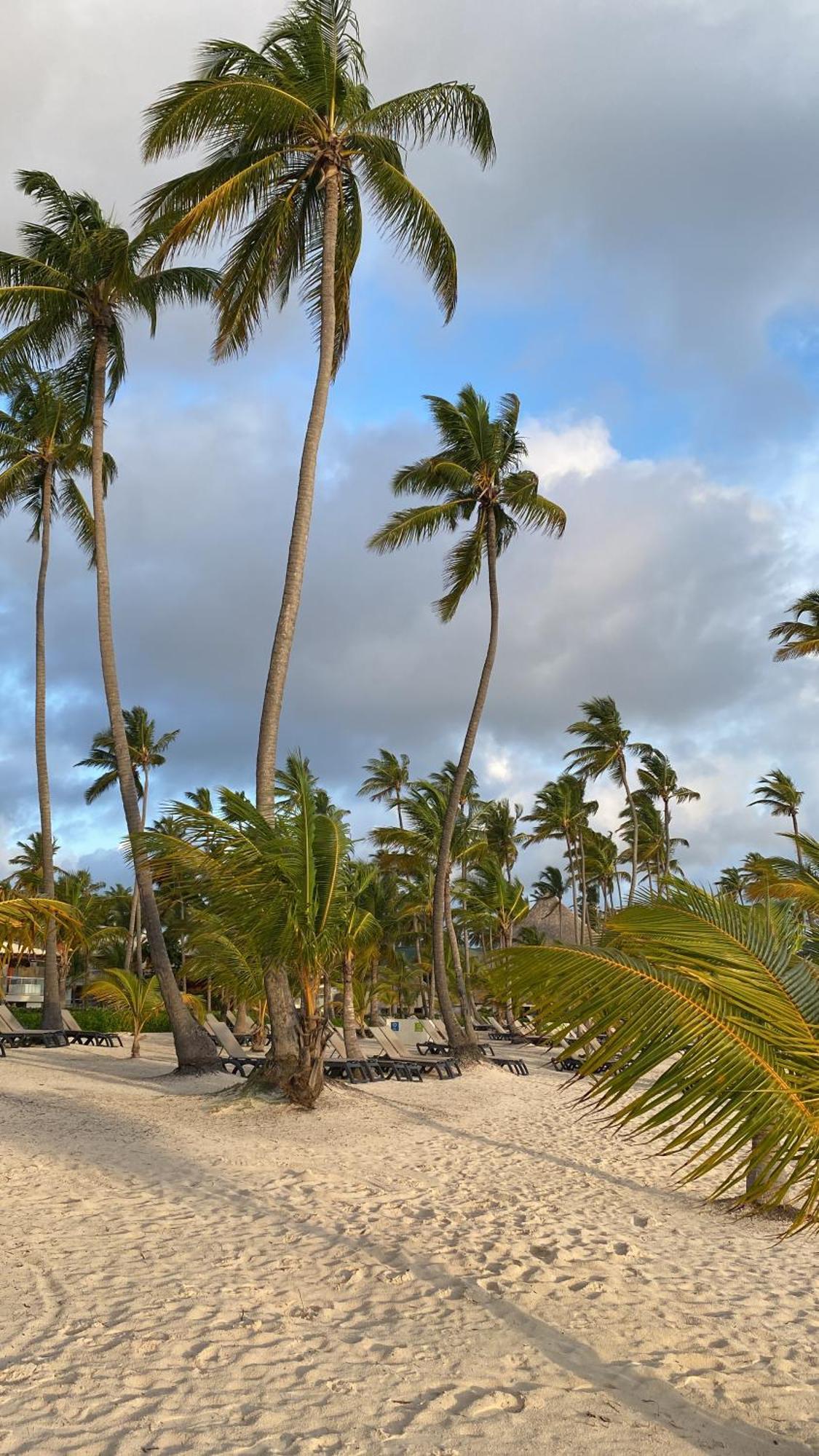 Apartment A Harmonious Place For You Close To The Beach *