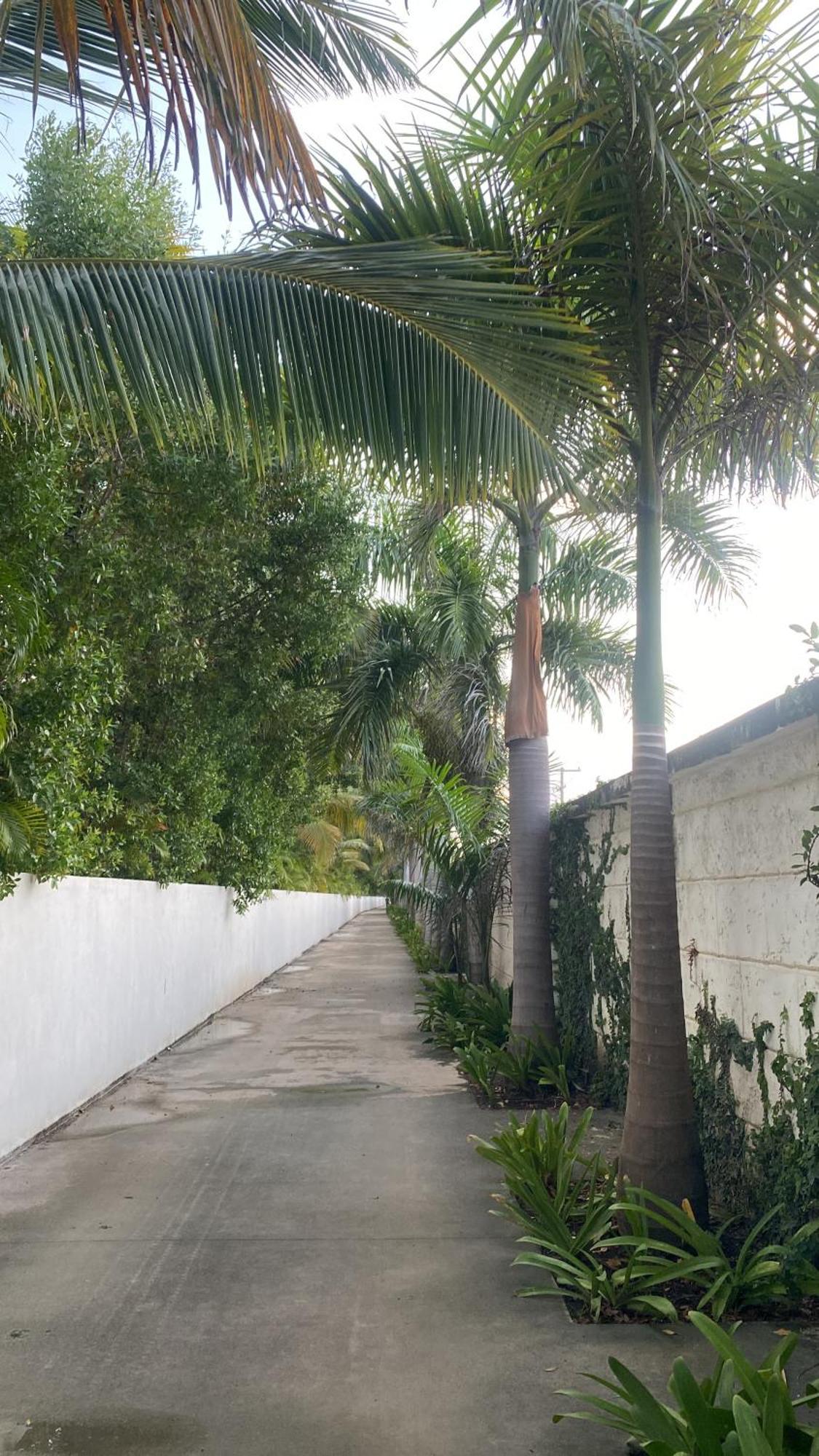 A Harmonious Place For You Close To The Beach Apartment