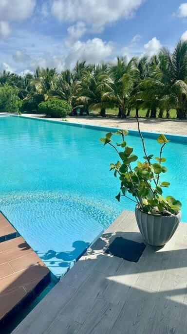 Sunset Luxury Apartamento