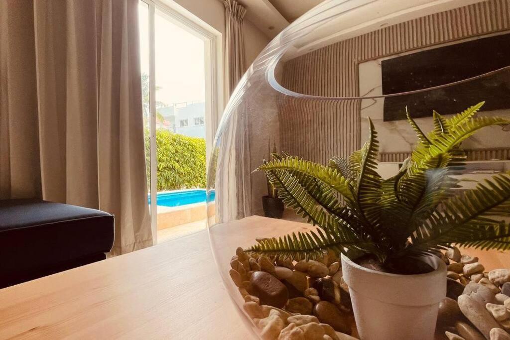 Apartamento Sea Dream Luxury *