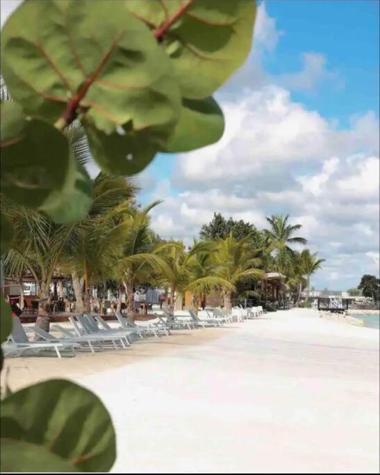 Ventura Golf Punta Cana