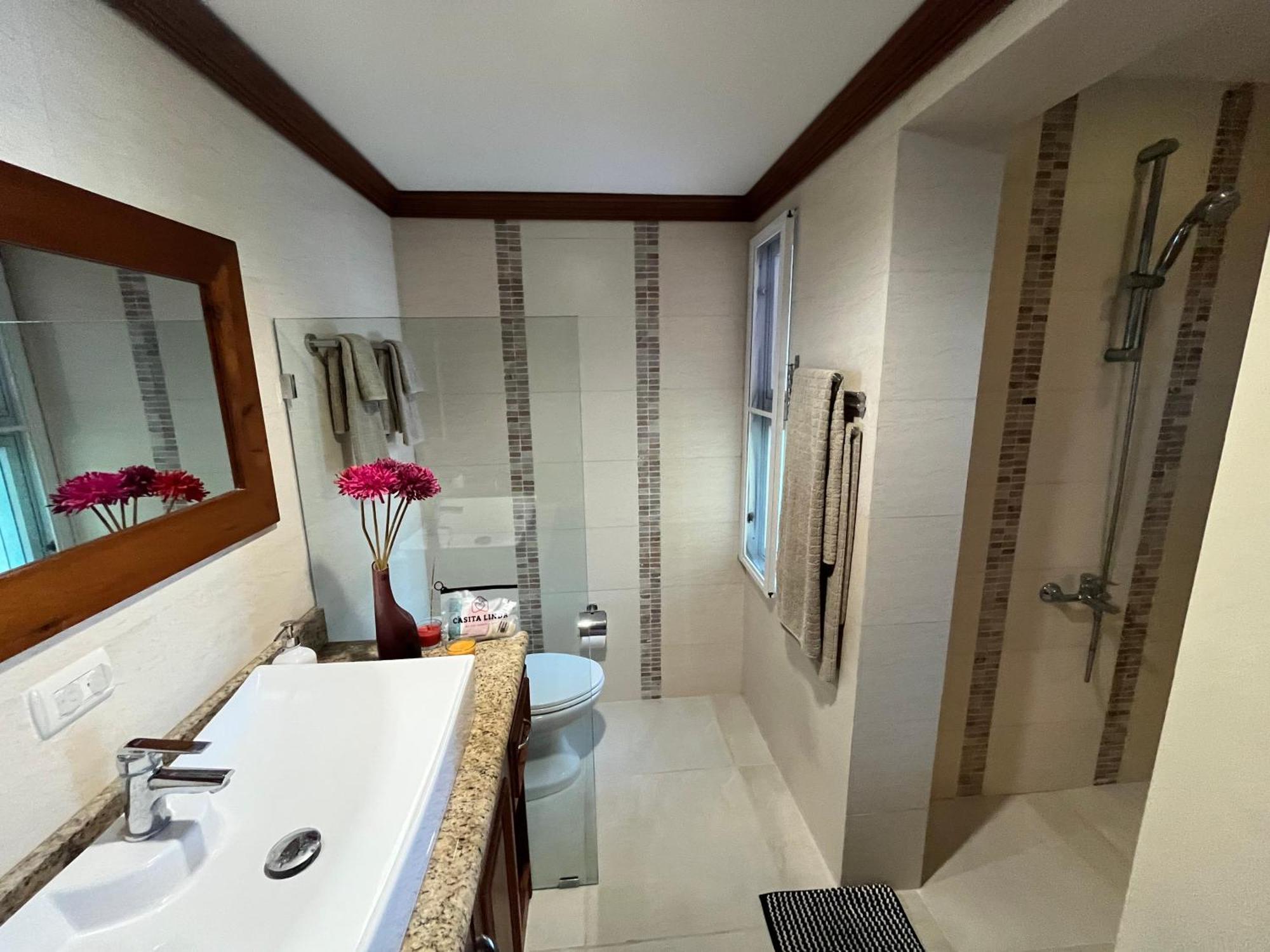 Luxury Penthouse With Pool, Bbq, Ac, Wi-fi, 5-min Walk To El Cortecito & Bavaro Beaches, * Punta Cana
