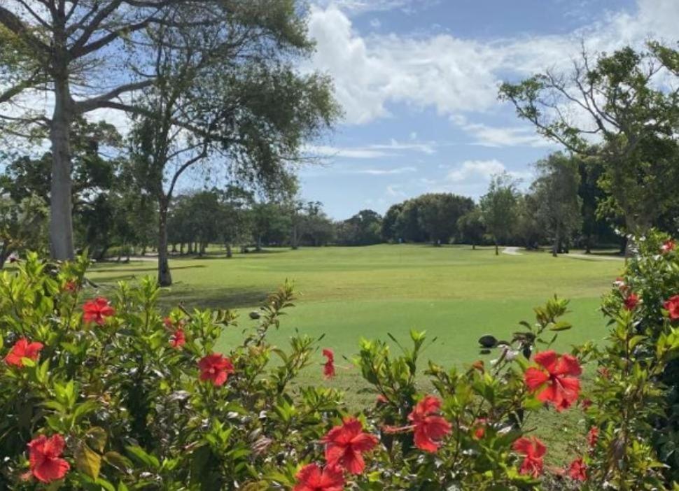 Apartment Luxury Apto 3 Rooms+pool+ Campo De Golf. Cocotal *