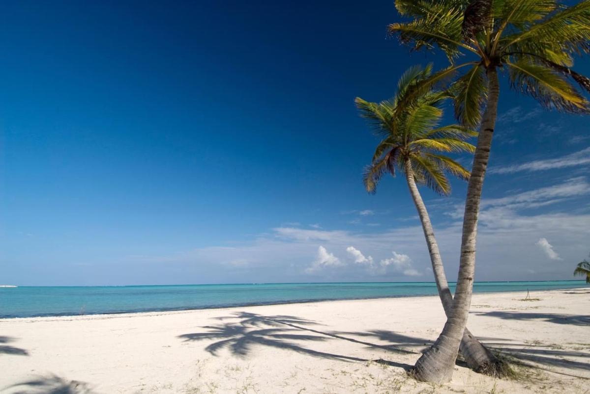 Backyard, Pool View, Walk To Beach, Dining, Shops * Punta Cana