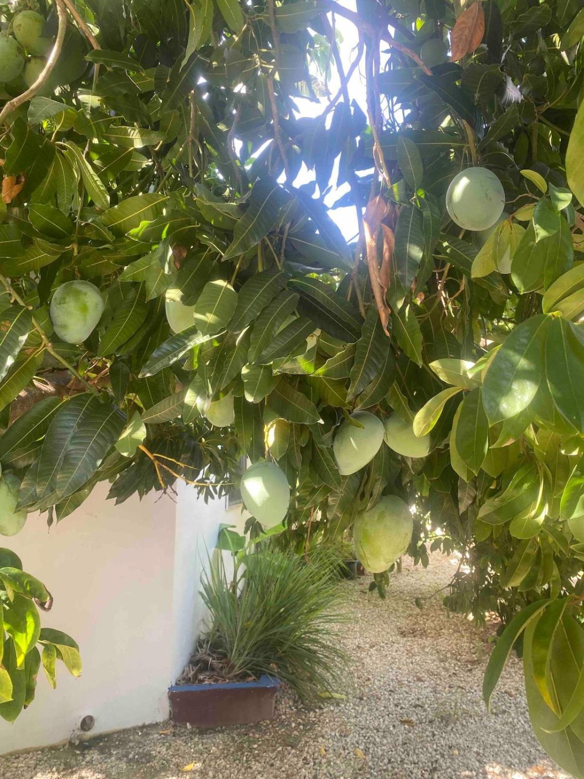 Dmm Con Piscina, Jacuzzi Y Gran Area En Villa