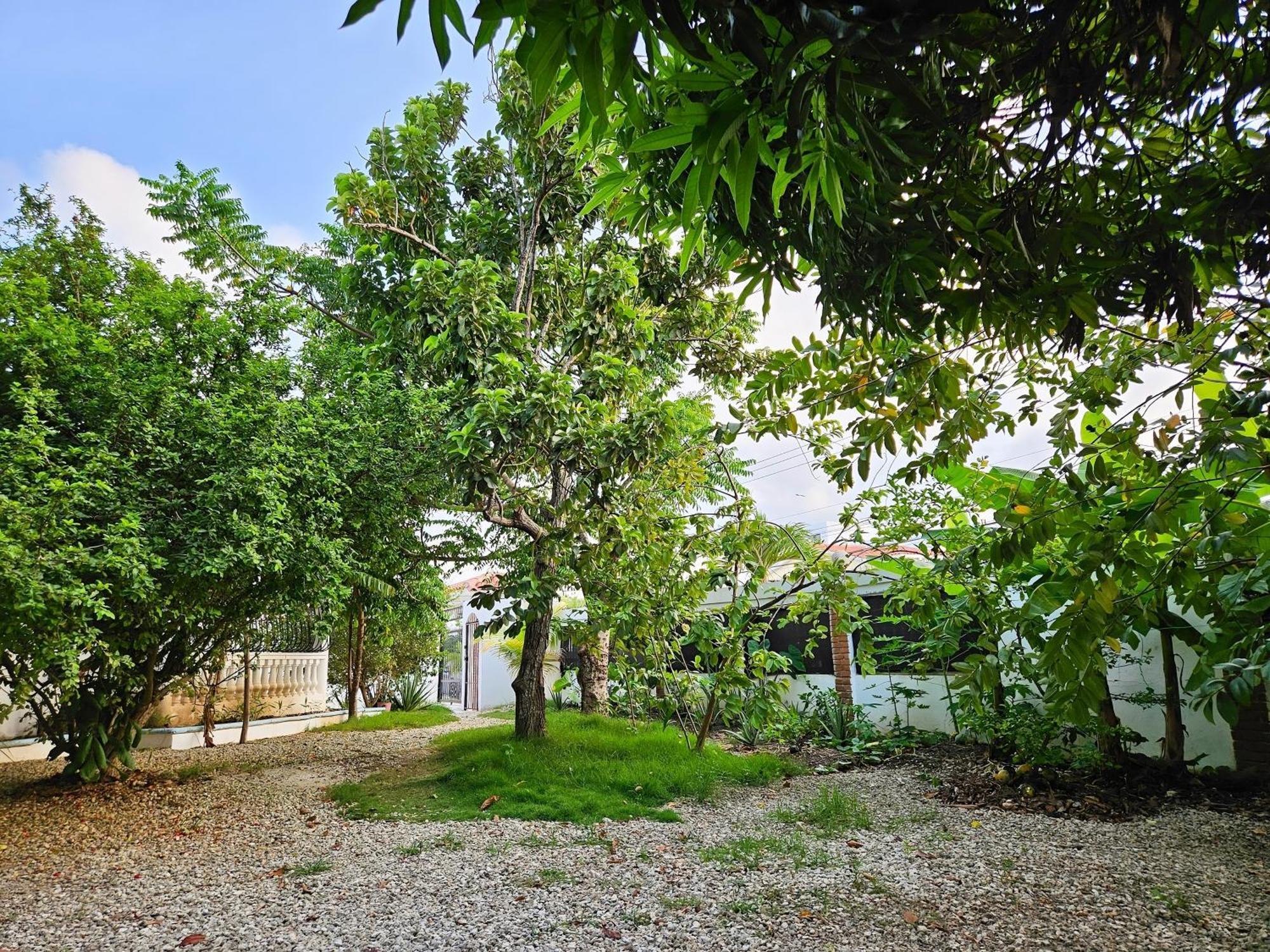 Villa Completamente Privada Con Piscina, Jacuzzi Y Gran Patio Punta Cana