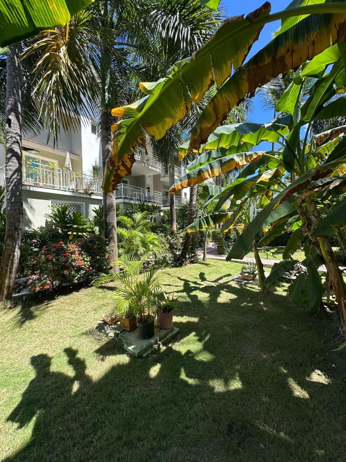 Apartamento Isla Del Encanto