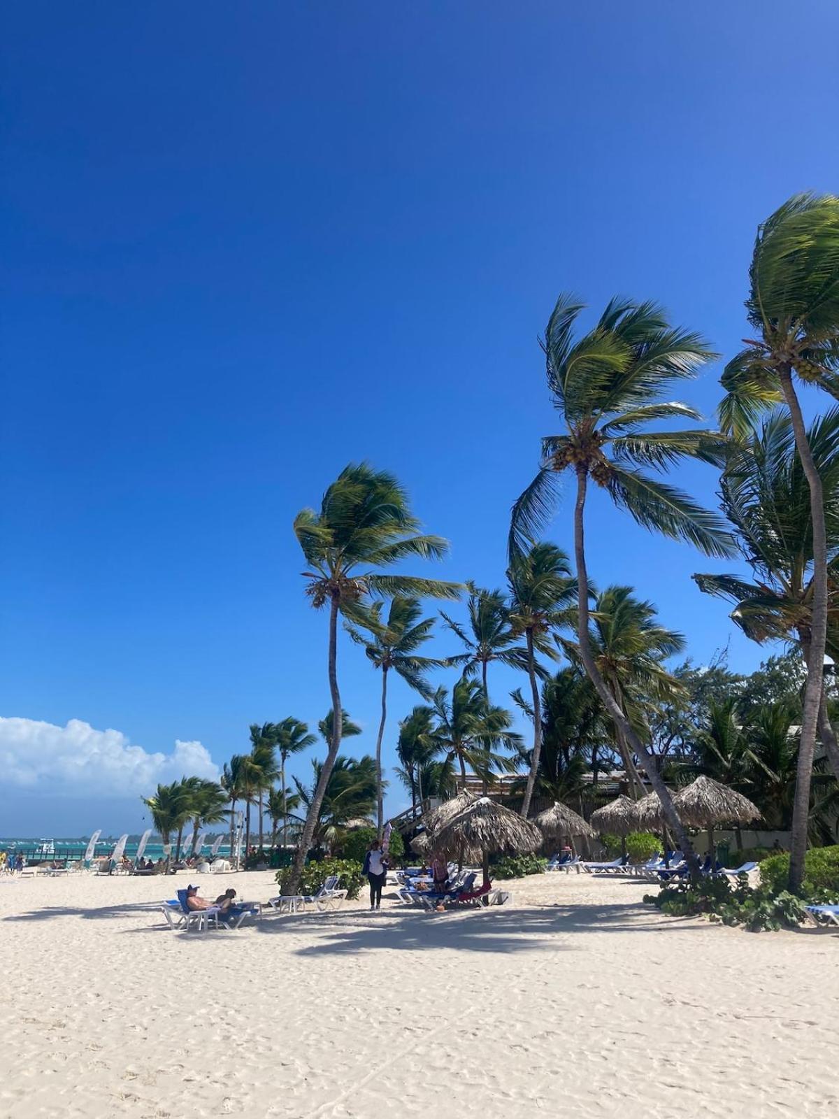 Luxury Flat In Bavaro Puntacana!