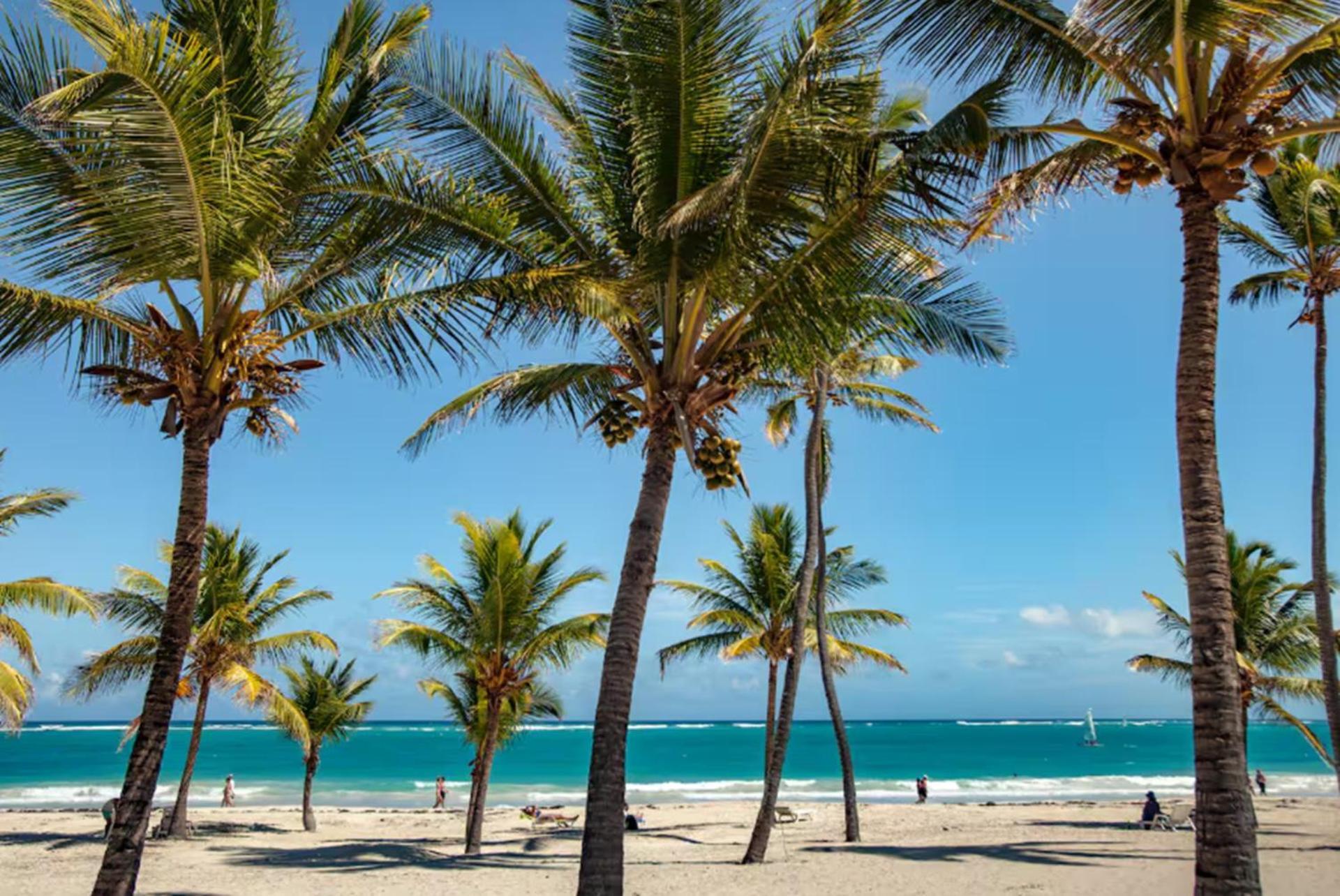 Penthouse Con Picuzzi Privado Y Barbacoa En Bavaro Punta Cana