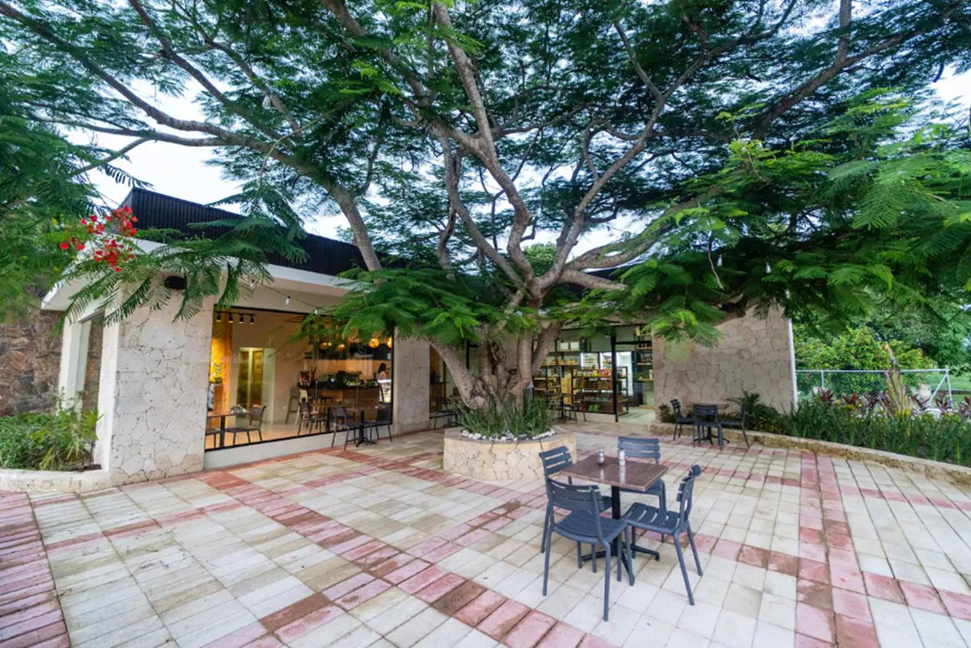 Penthouse Con Picuzzi Privado Y Barbacoa En Bavaro *