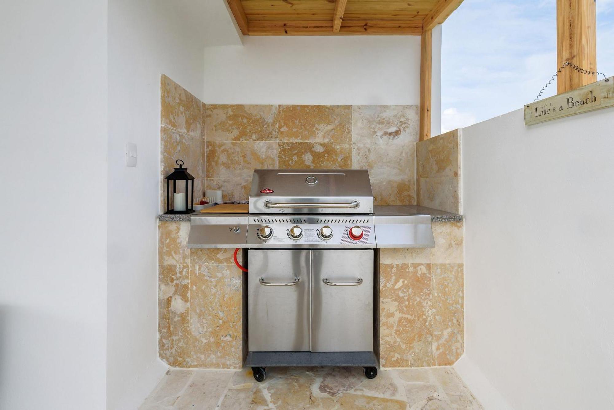 Penthouse Con Picuzzi Privado Y Barbacoa En Bavaro Punta Cana