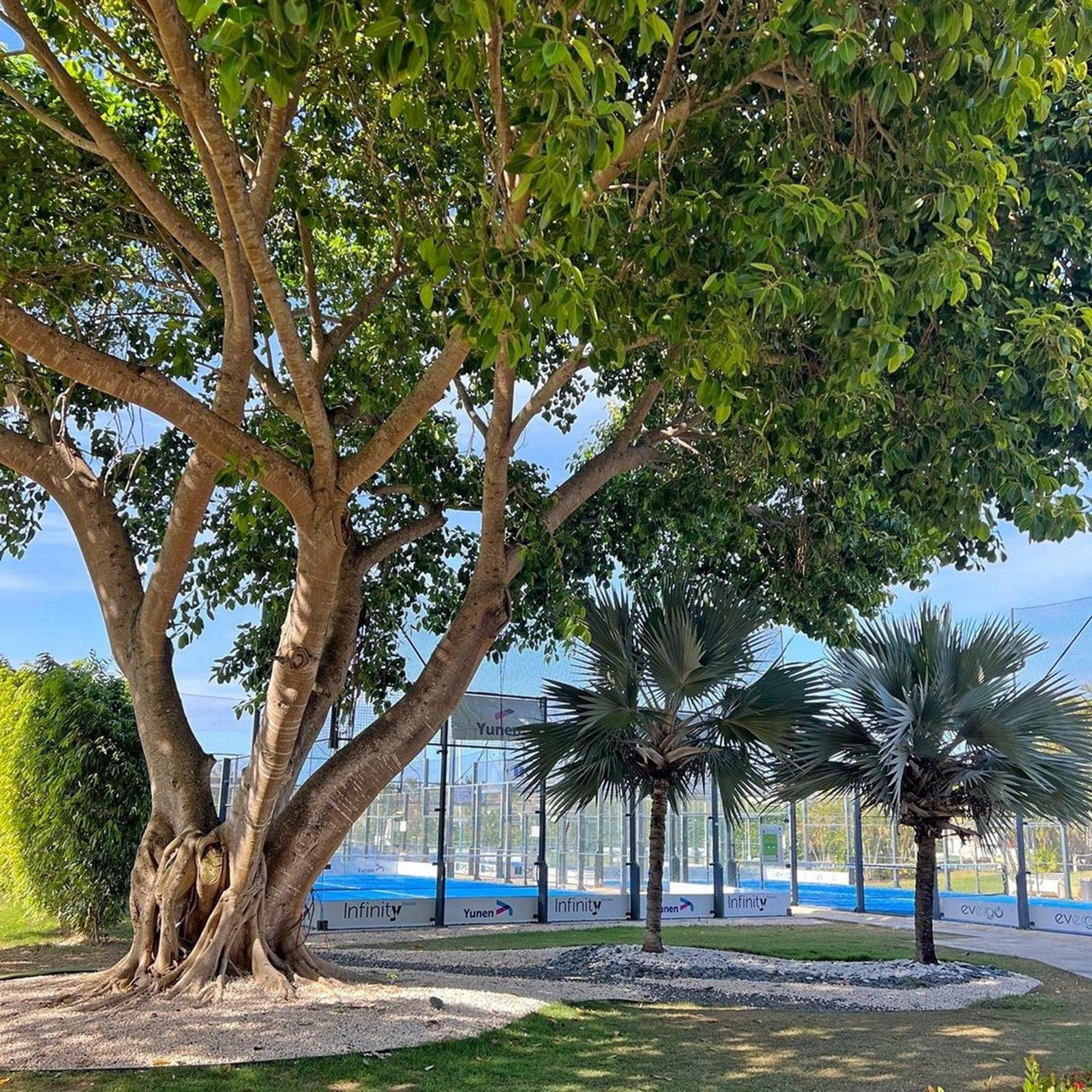 Familiar En Con Piscina * Punta Cana