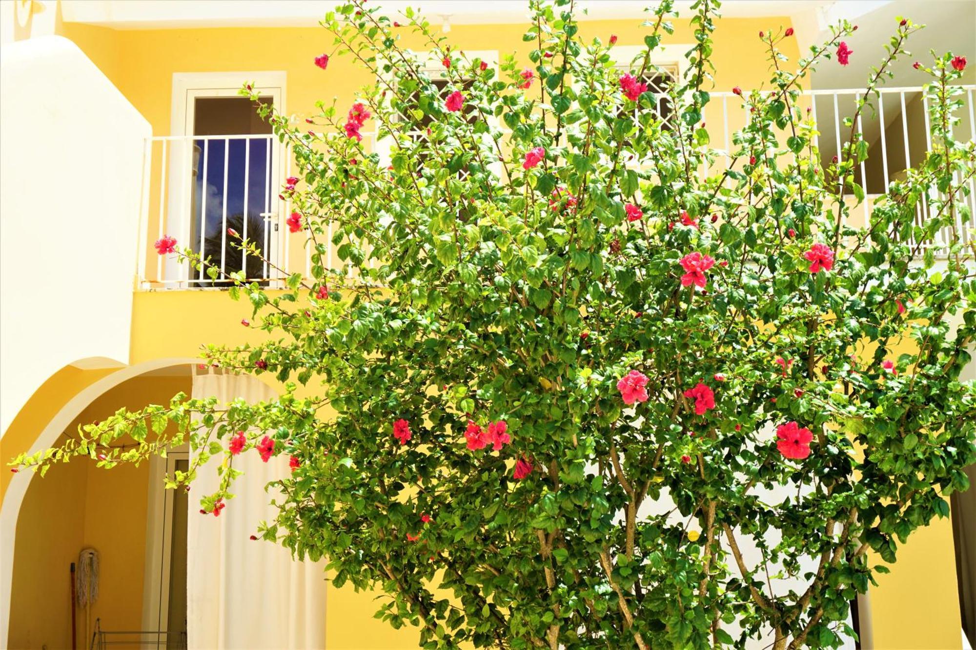 Apartamento Grunwald 3 Punta Cana