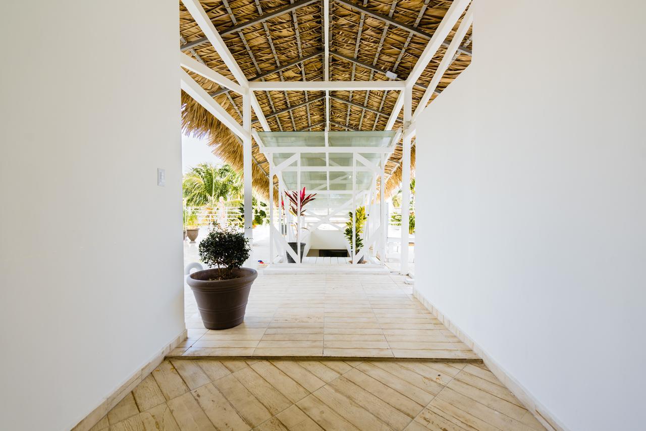 Apartamento Terraza Art Dominicana *