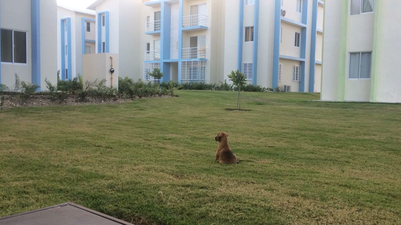 Apartamento Ciudad Caracoli Punta Cana