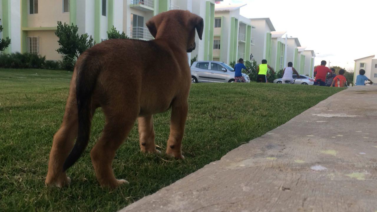 Ciudad Caracoli Punta Cana