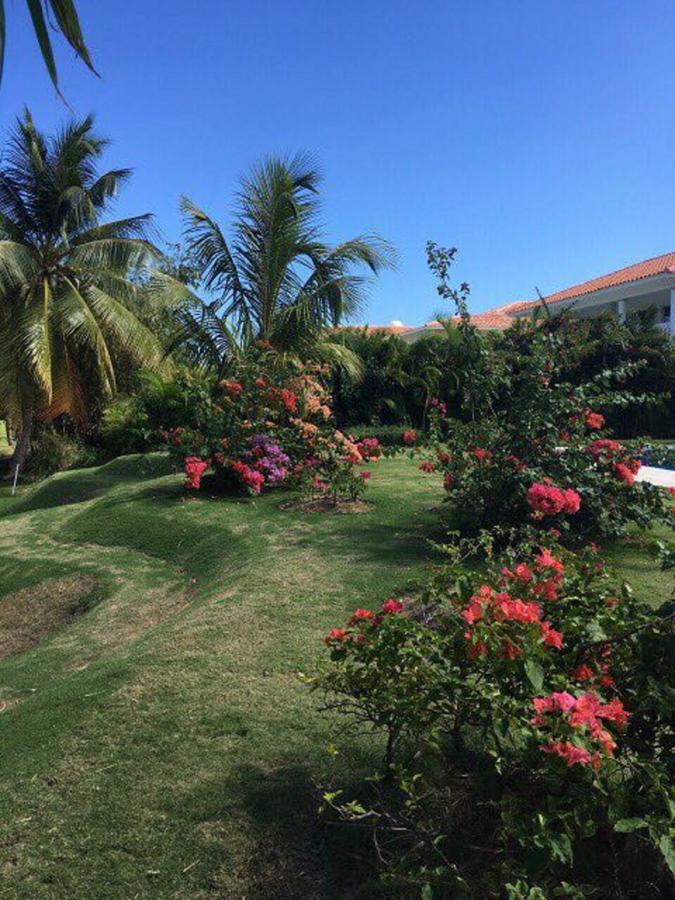 Cocotal Bavaro 460 *