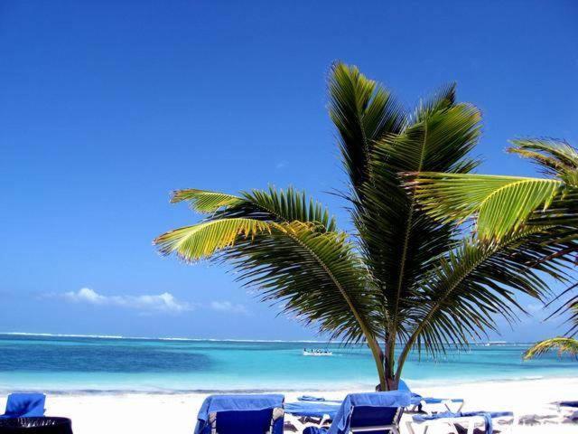 Bed and breakfast Larimar Beach *